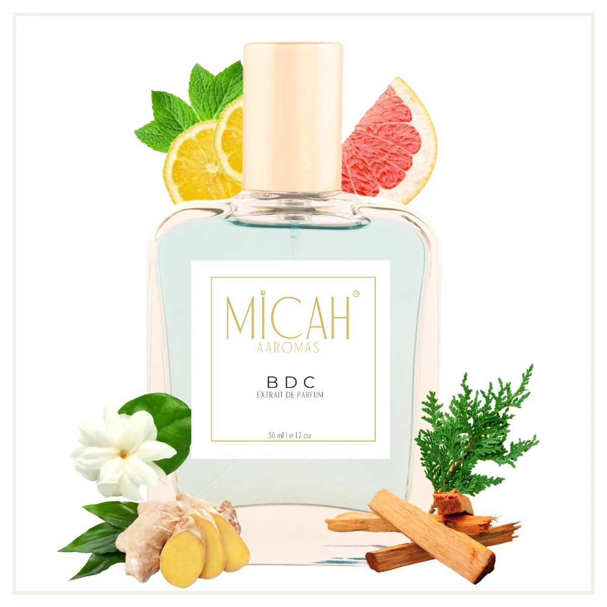 BDC woody aromatic fragrance for men long lasting perfume_M1_1_1
