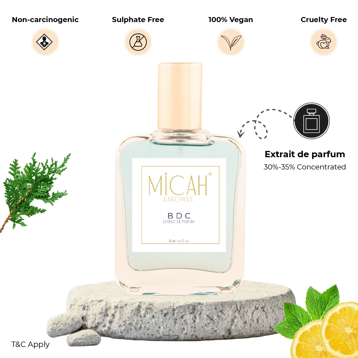 BDC woody aromatic fragrance for men long lasting perfume_M1_2_1