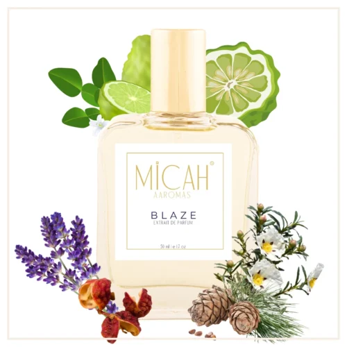 Blaze extrait de parfum bottle men aromatic fougere fragrance_M1_1_1