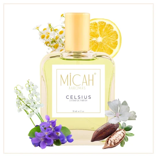 Celsius perfume for men woody floral musk fragrance bottle_M1_1_1