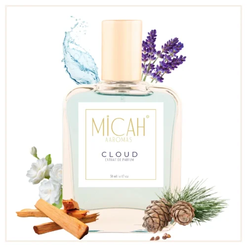 Cloud fragrance for men fresh aquatic perfume bottle_M1_1_1