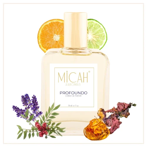 Profoundo perfume bottle aquatic fougere fragrance for men_M1_1_1