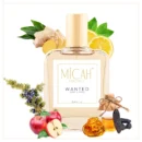 Wanted perfume alternative woody spicy fragrance for men_M1_1_1