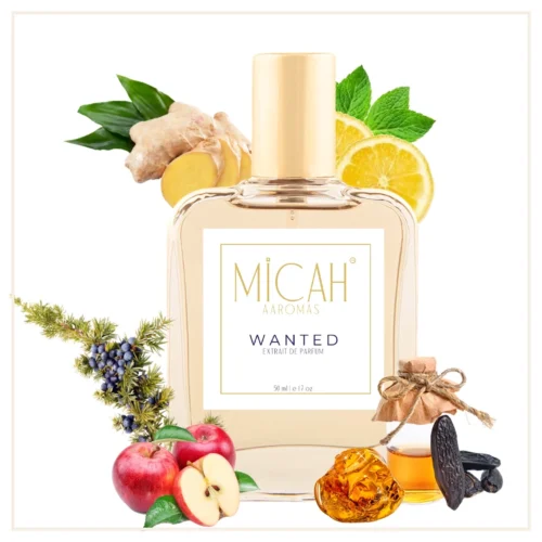 Wanted perfume alternative woody spicy fragrance for men_M1_1_1