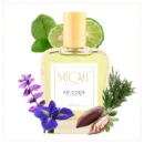 woody aromatic perfume for men with bergamot iris and tonka bean notes_M1_1_1