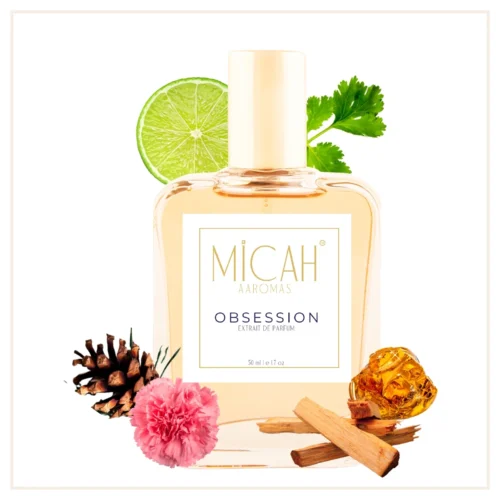 Calvin Klein Obsession inspired perfume for men bottle_M1_1_1