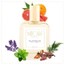 Invictus Platinum inspired perfume for men bottle_M1_1_1