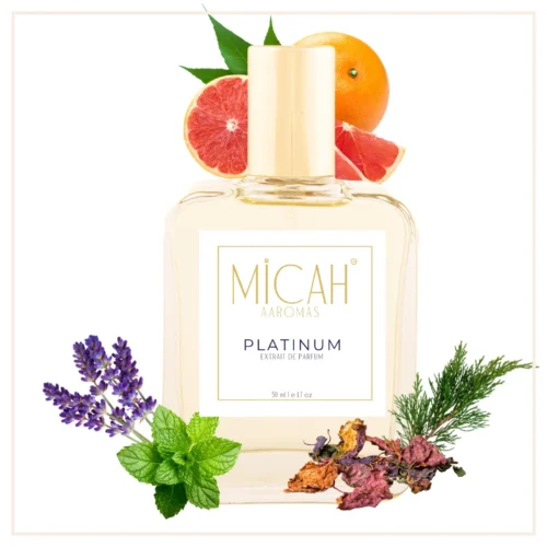 Invictus Platinum inspired perfume for men bottle_M1_1_1