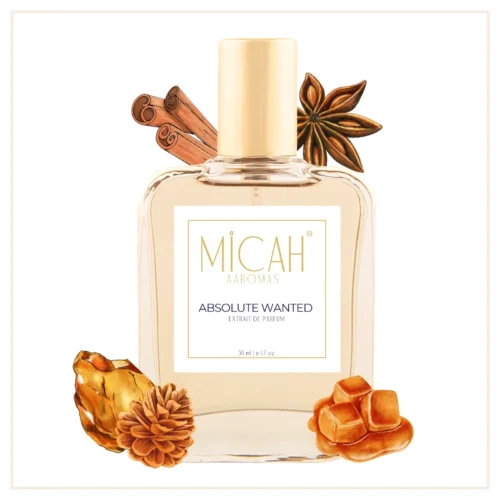 Absolute Wanted perfume bottle woody spicy fragrance for men_M1_1_1