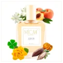 Coco Chanel inspired perfume oriental spicy fragrance_W1_1_1