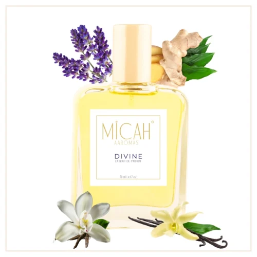 Divine perfume for women luxury vanilla fragrance bottle_W1_1_1