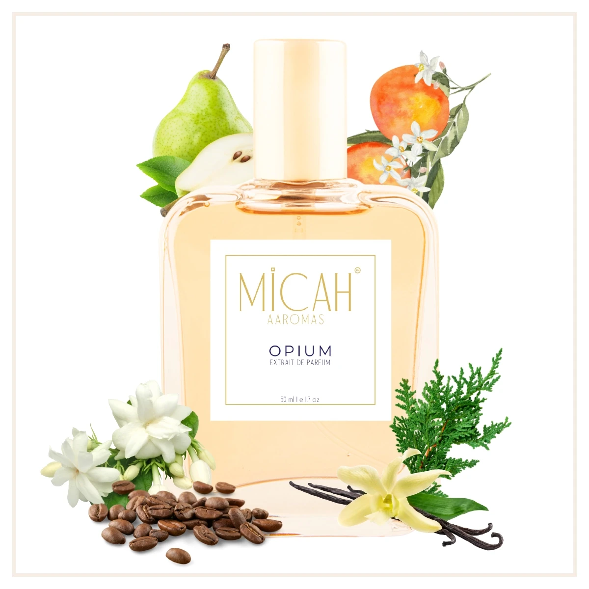 Black Opium Inspired Perfume Coffee Vanilla Fragrance_W1_1_1