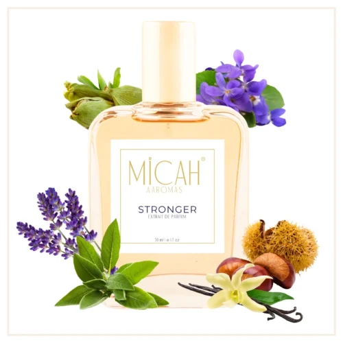 Stronger With You inspired unisex perfume bottle aromatic fougere fragrance_U1_1_1