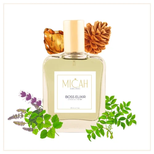 Boss Elixir Inspired Perfume Extrait De Parfum for Men_M1_1_1