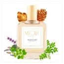 Boss Elixir perfume for men long lasting extrait de parfum_M1_1_1