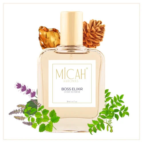 Boss Elixir perfume for men long lasting extrait de parfum_M1_1_1