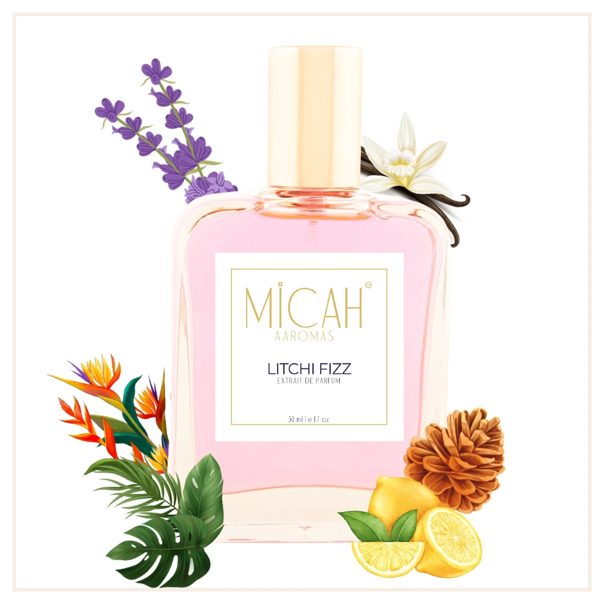 Lychee perfume for women Lichi Fizz fruity floral fragranceW1_1_1
