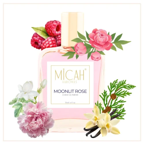 Moonlit Rose raspberry rose perfume inspired by Tresor Midnight Rose_W1_1_1