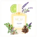 Voltage perfume for men by Micah Aaromas inspired by Volt by Gissah aromatic fougere fragrance
