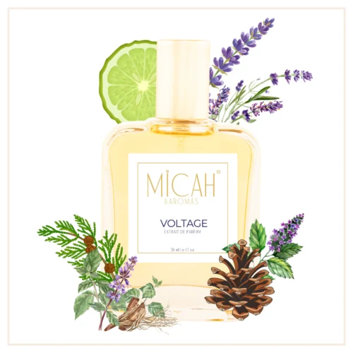 Voltage perfume for men by Micah Aaromas inspired by Volt by Gissah aromatic fougere fragrance