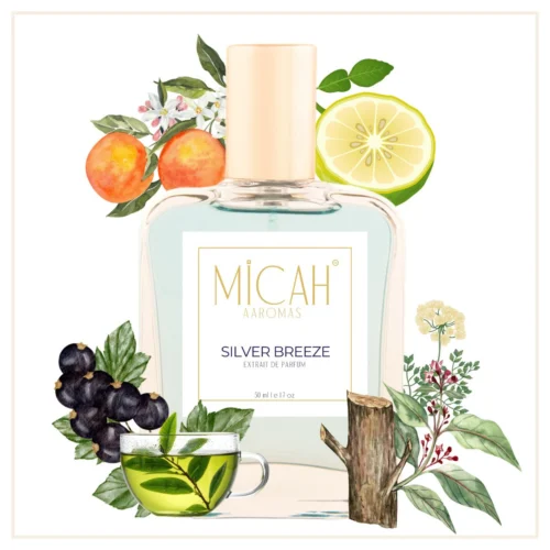 Silver Breeze apparel spray by Micaha Aromas inspired by Silver Mountain Water